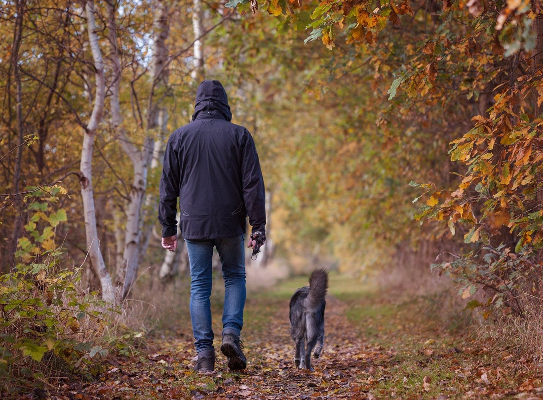 Promenade chien à Reynes 66400
